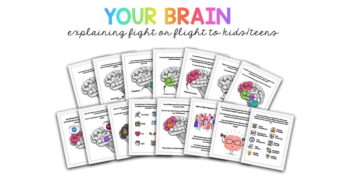 Your Brain Explaining Fight or Flight to Kids
