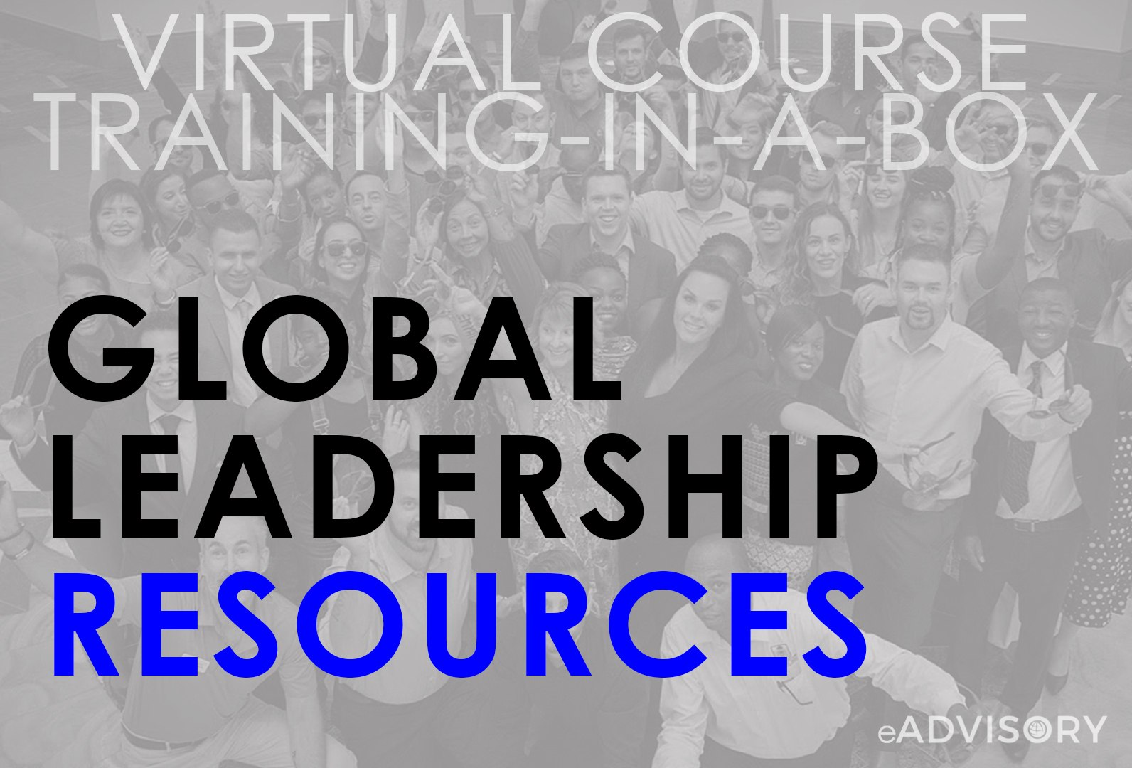 Global Leadership Resources