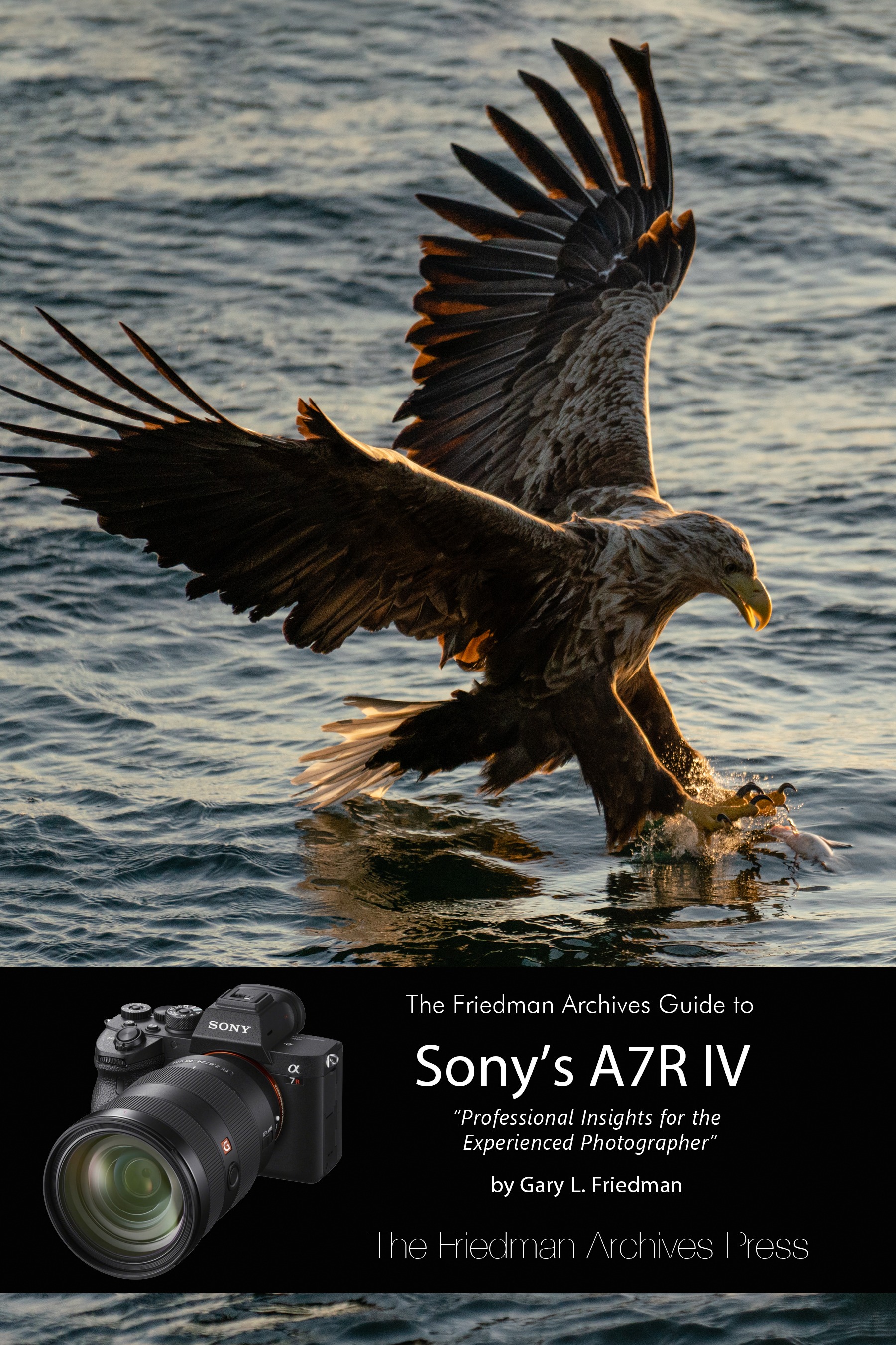 The Friedman Archives Guide To Sony s A7R IV