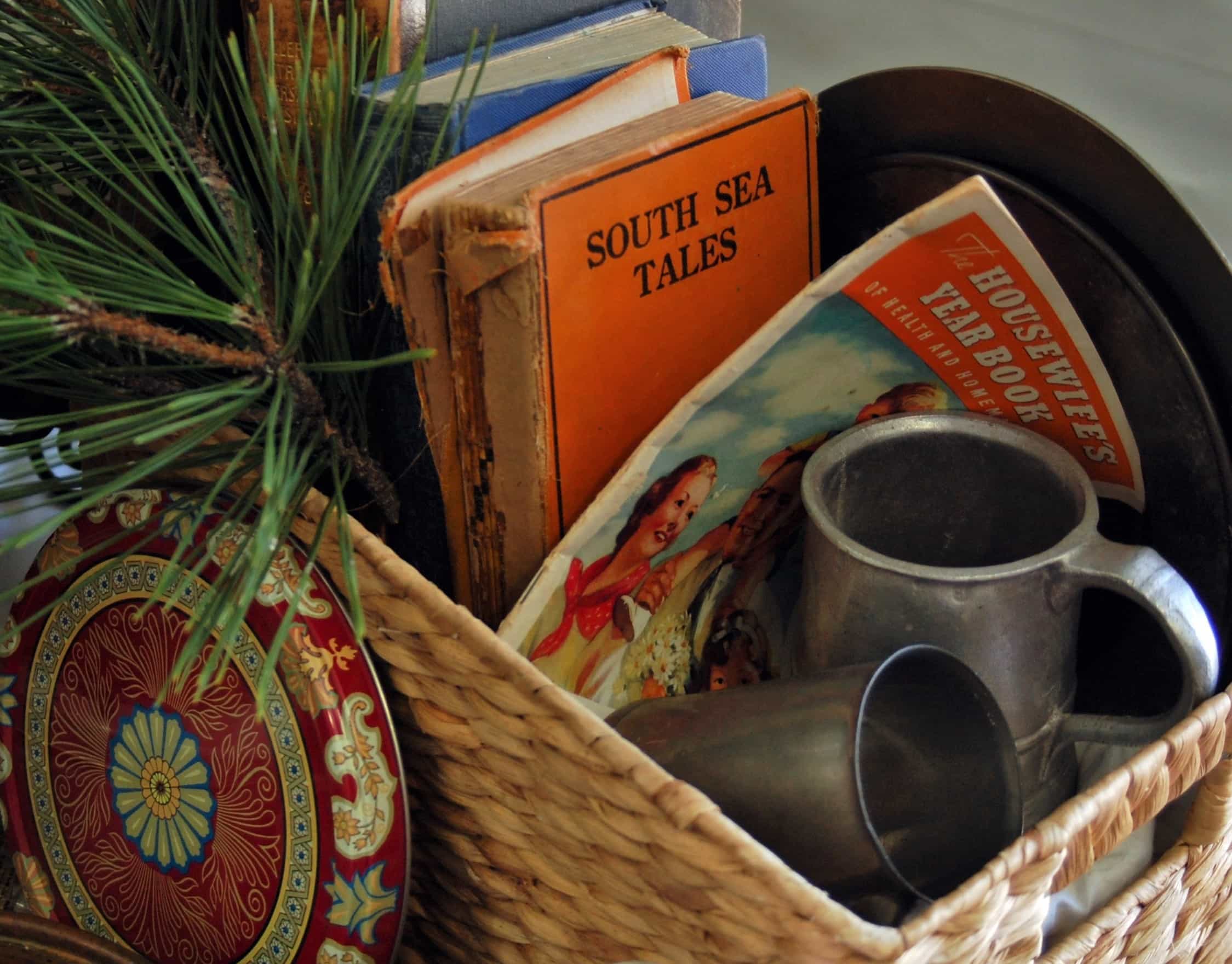 Creative teaching ideas for SWALLOWS AND AMAZONS
