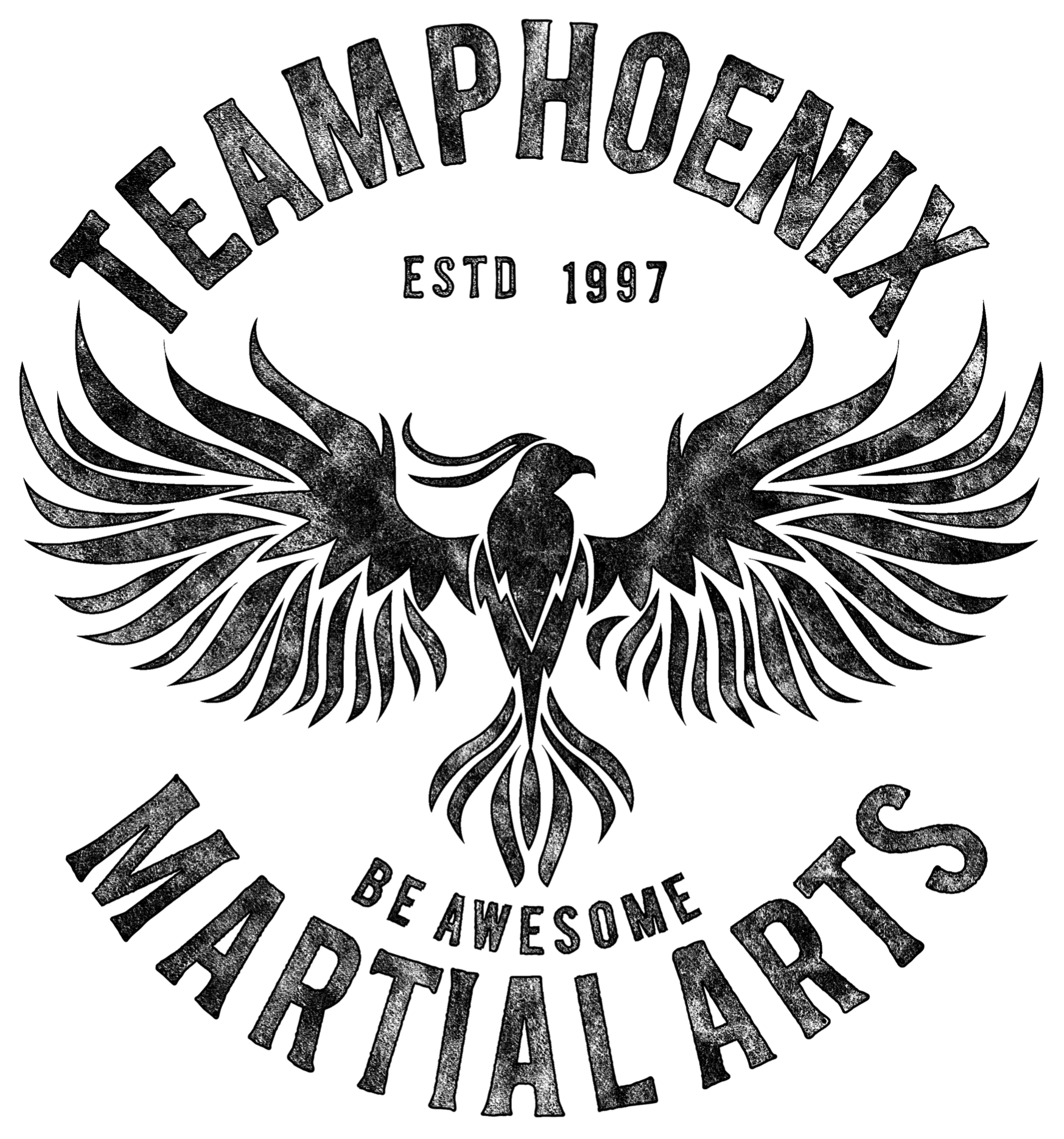 Team Phoenix Martial Arts Online University