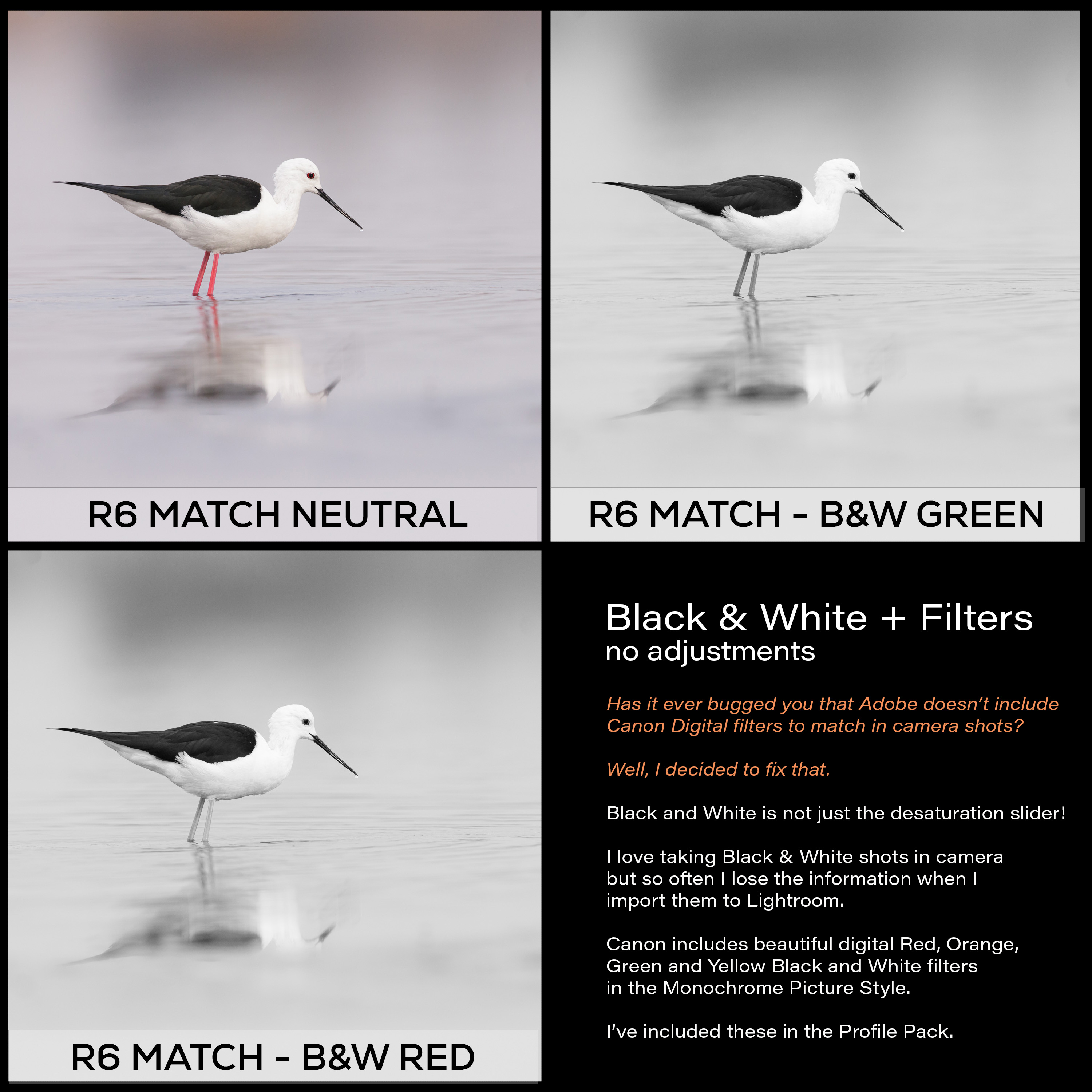Canon EOS R6 Lightroom Profiles