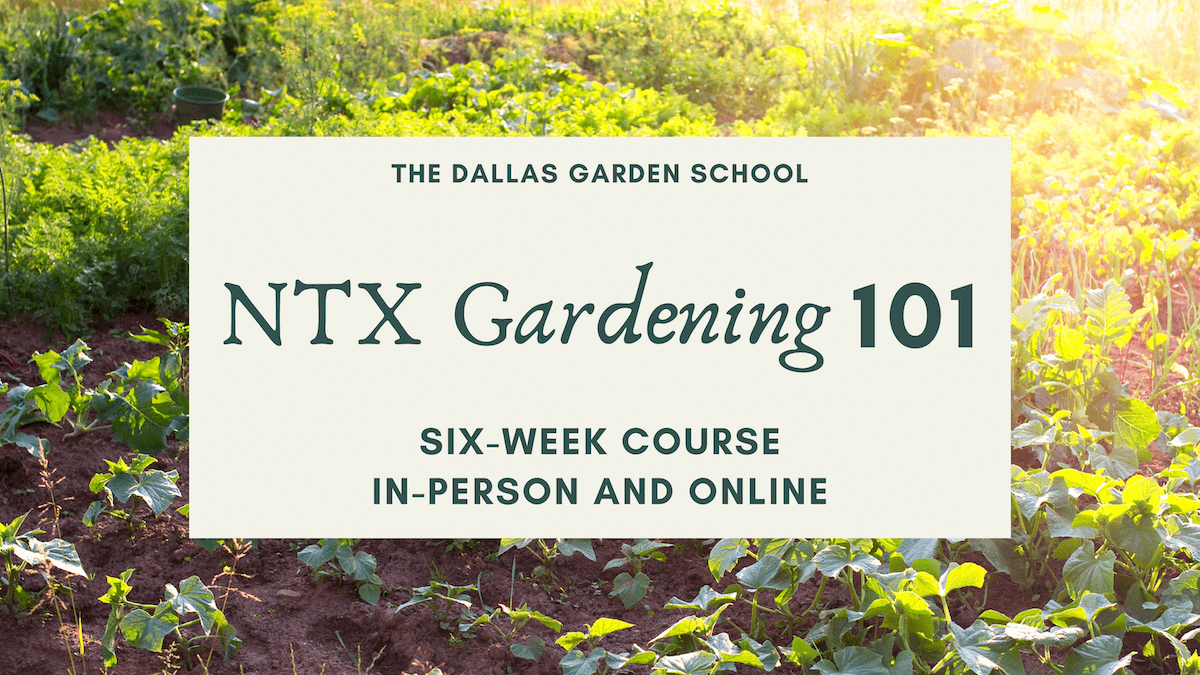 Dallas Gardening Classes