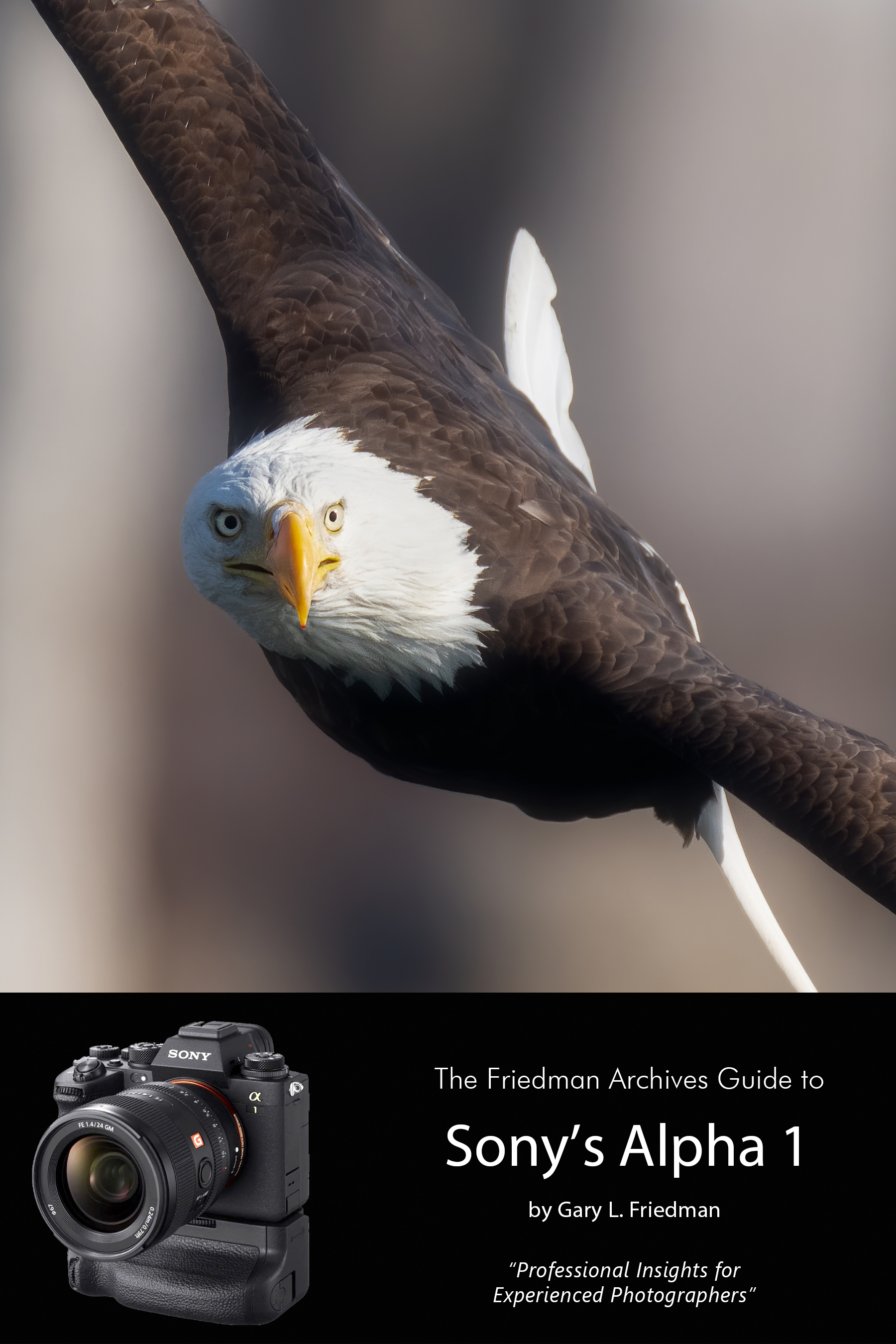 The Friedman Archives Guide To Sony s A1