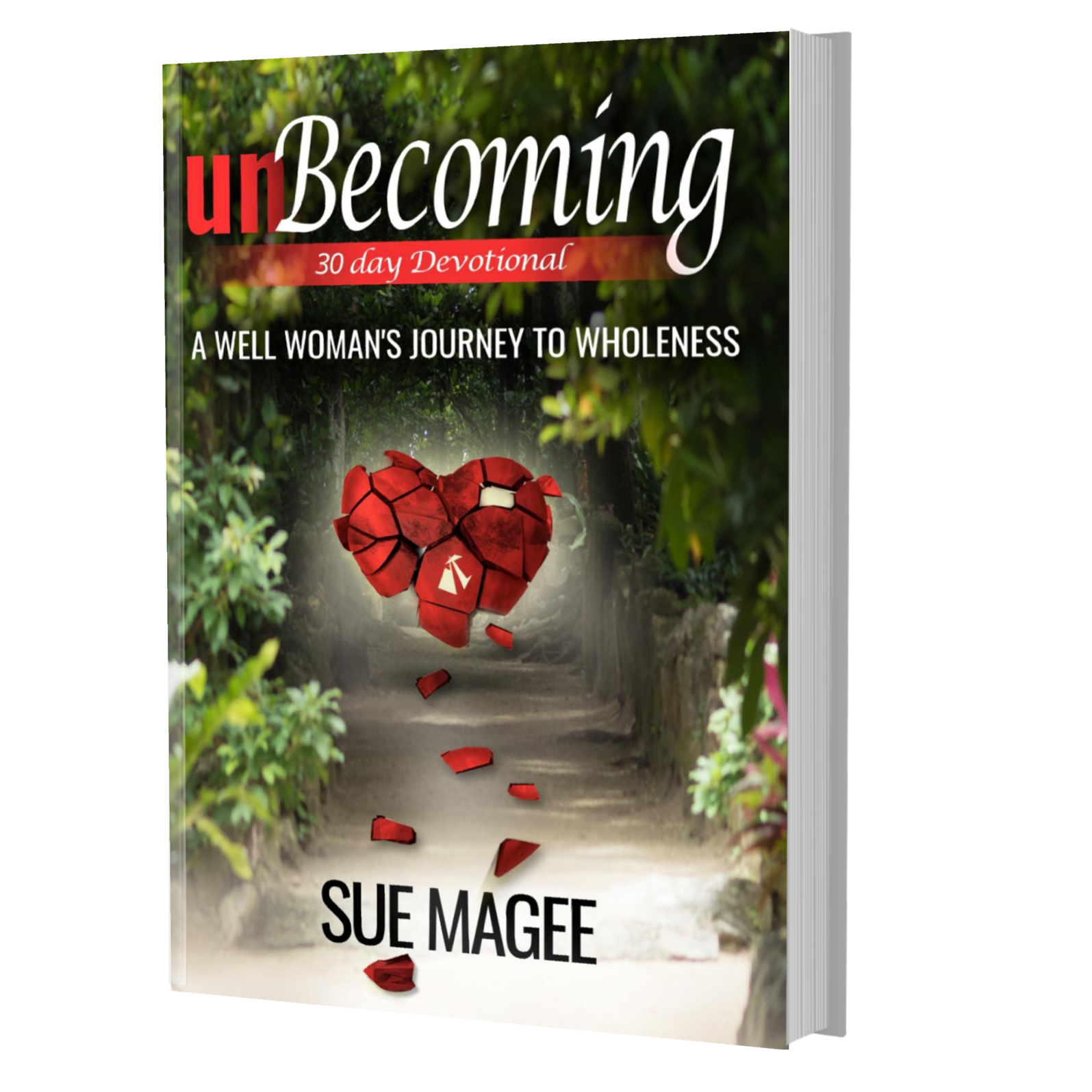 Write And Publish Your Next Book In 12 Weeks