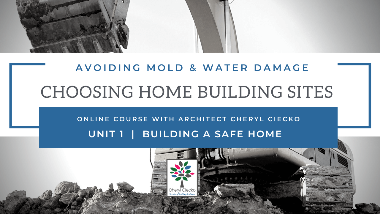 Dwell Well Institute