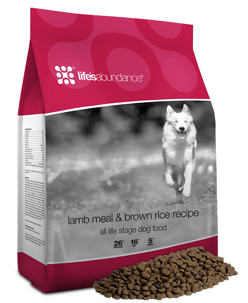 Life's abundance grain 2025 free dog food