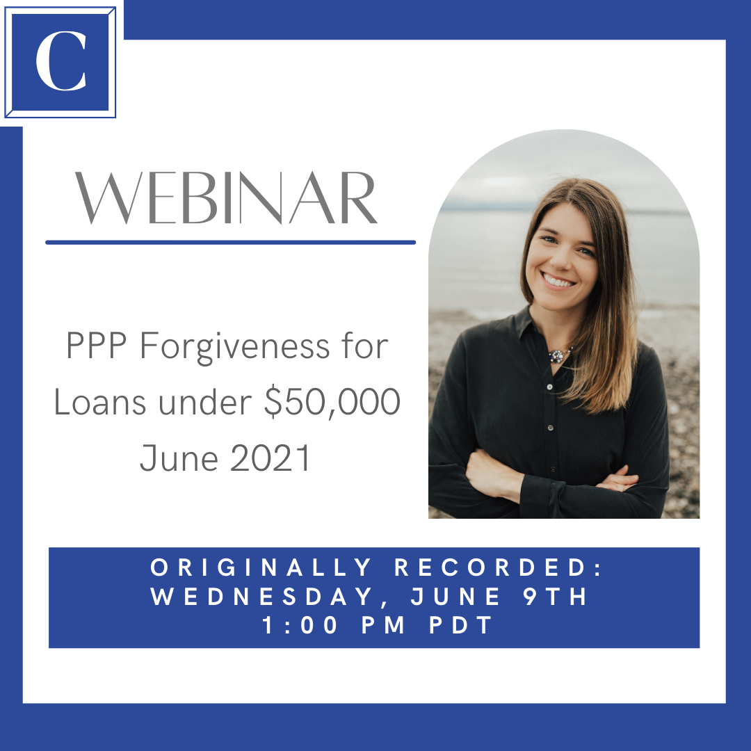 3508S How to get your PPP Loan (Loans under 50,000)