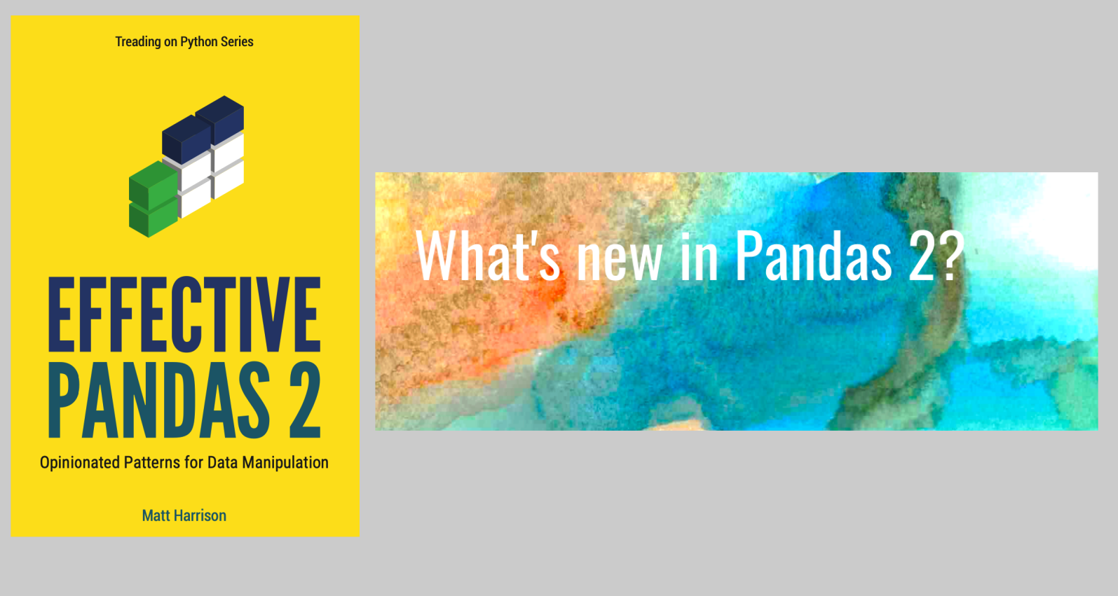 Pandas2 book/course bundle