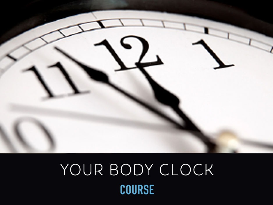 Your Body Clock