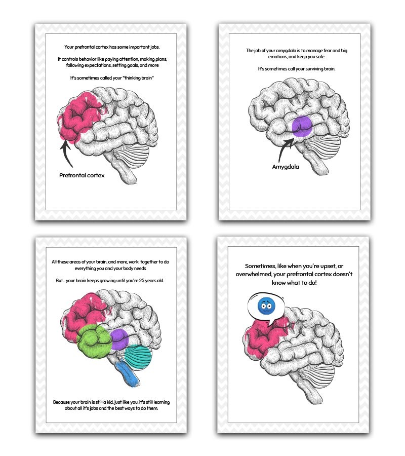 your-brain-explaining-fight-or-flight-to-kids