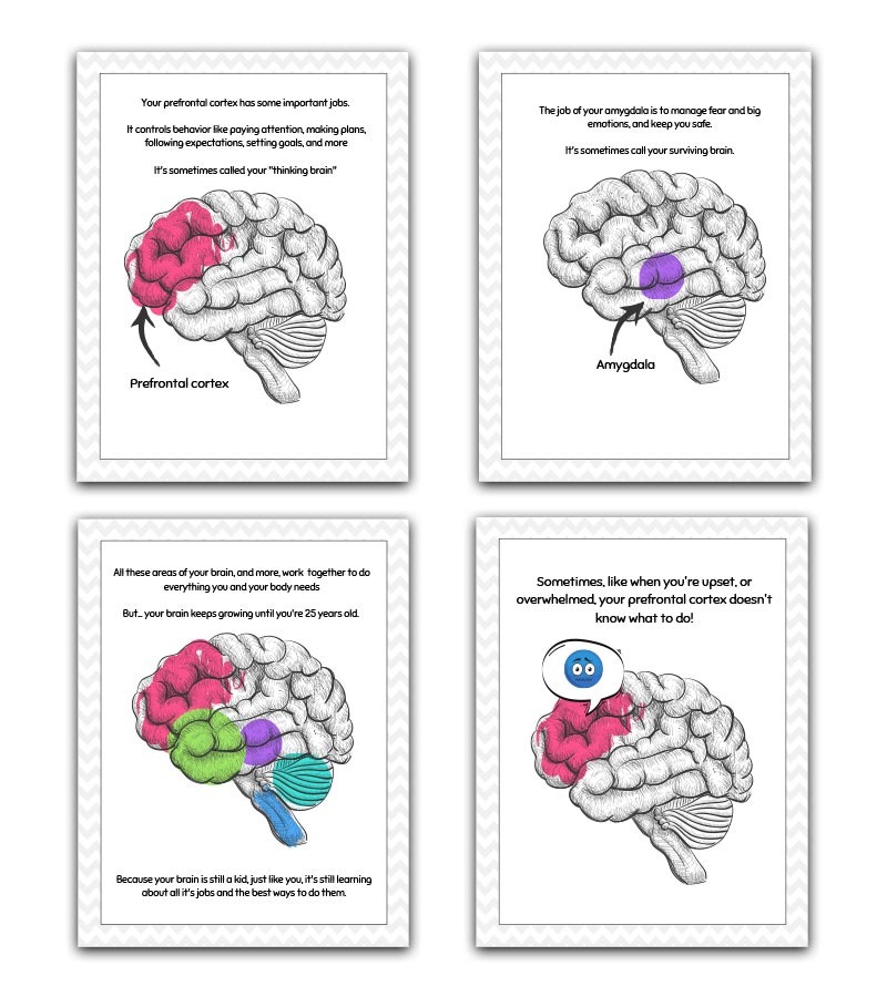 Your Brain: Explaining Fight or Flight to Kids