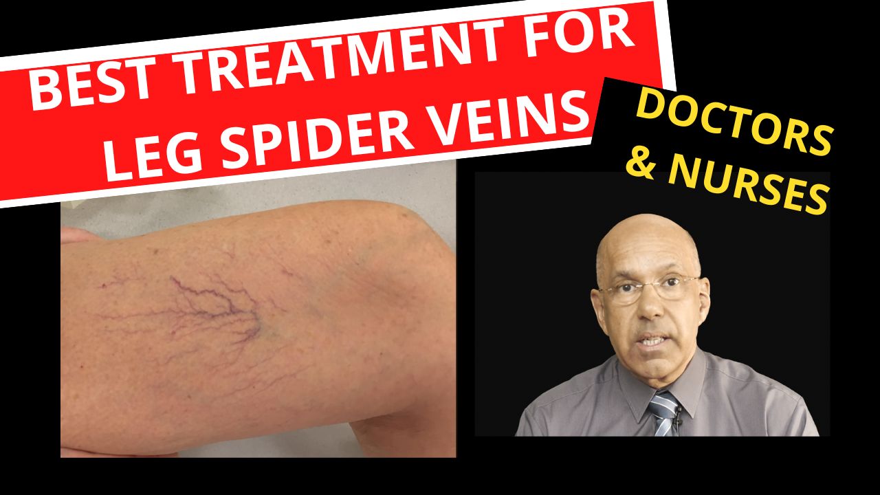 Evaluating Therapy Options For Front Leg Healing photo