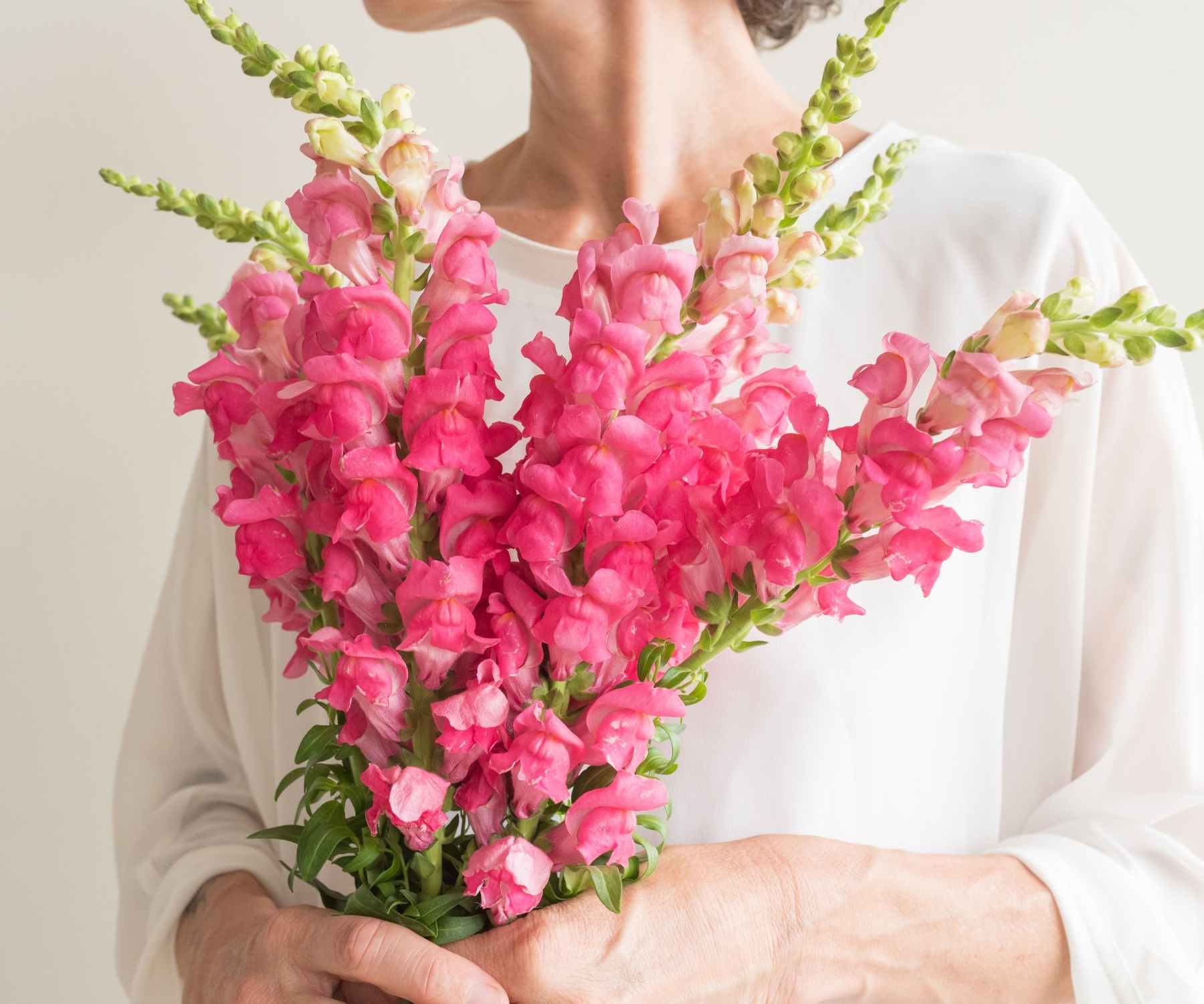 Hardy Annual Cut Flowers Class with Amanda VanHoozier The Dallas Garden School