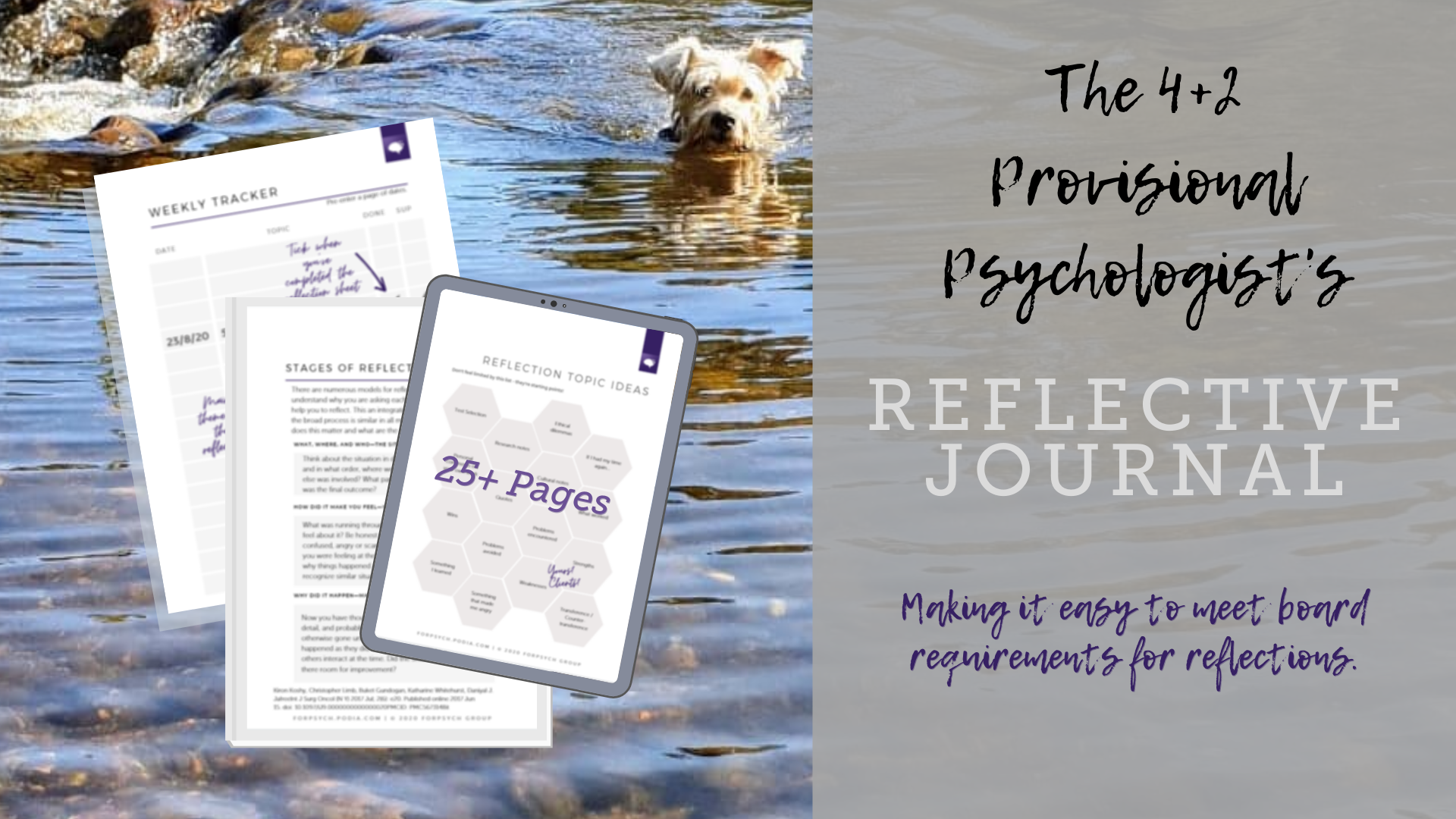 The 4+2 Provisional Psychologist's Reflective Journal