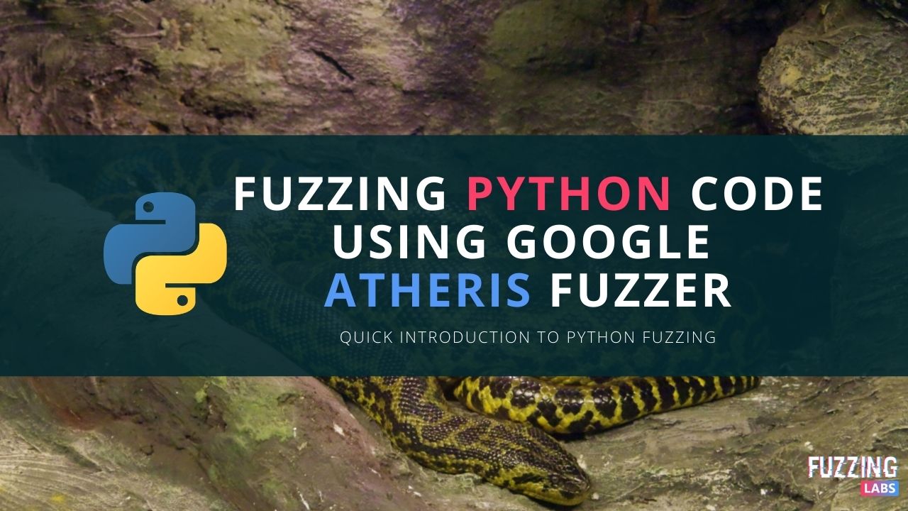 python hypothesis fuzzing