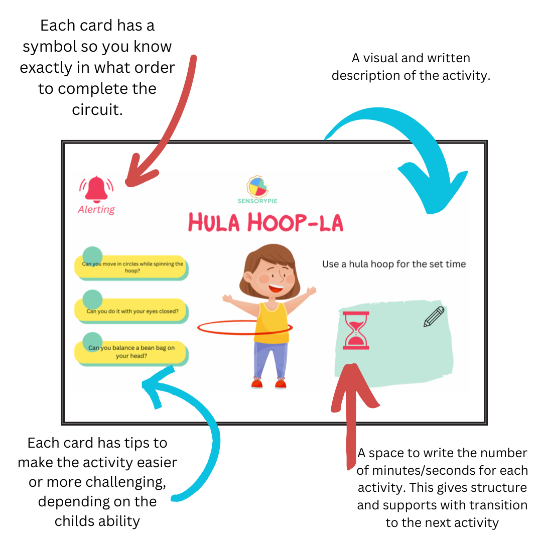 What is a sensory circuit?