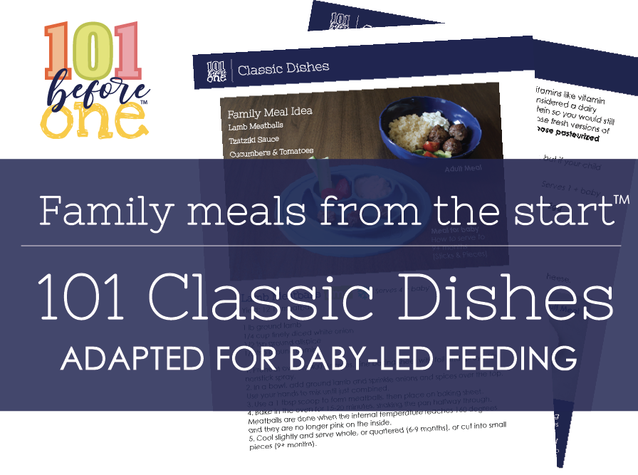 101 Food Checklist PDF Download for Baby Led Weaning From 101 Before One -   UK