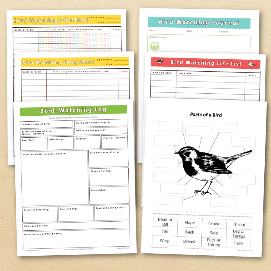 FREE PDF Download Birdwatching Notebook  Birding journal, Bird watching,  Bird unit study