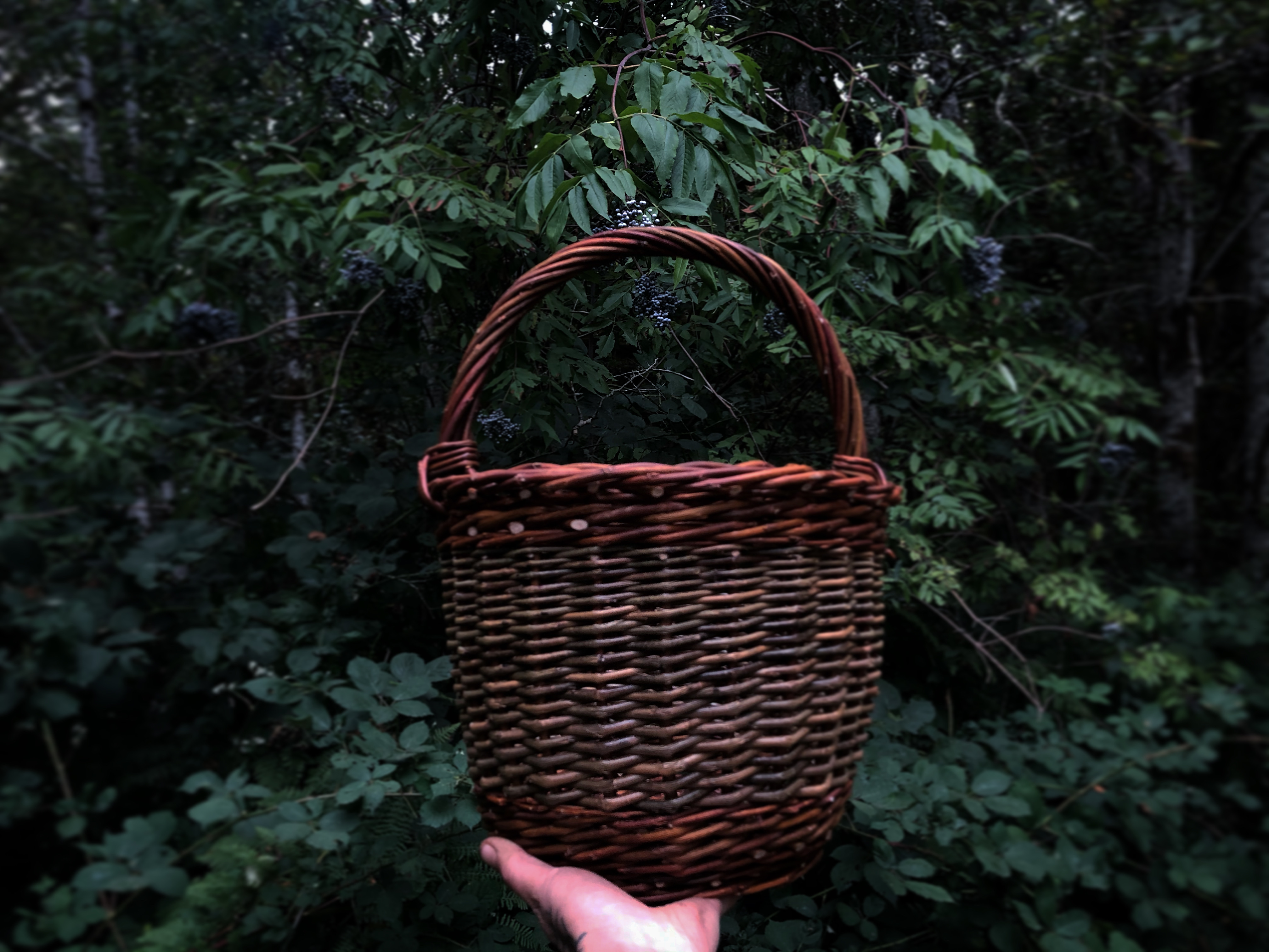 Our Hands Will Speak Willow A Round Willow Basket Course