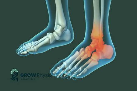 Functional Foot Practical Course
