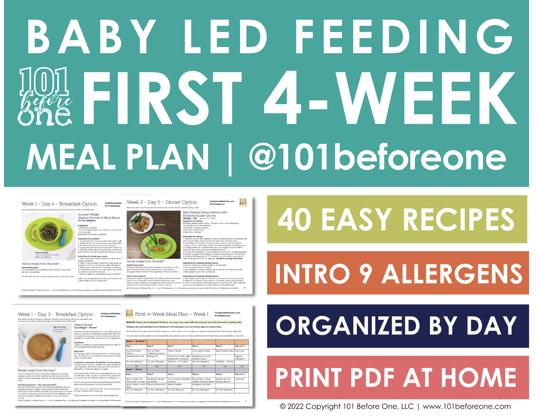 101 Food Checklist PDF Download for Baby Led Weaning From 101 Before One 