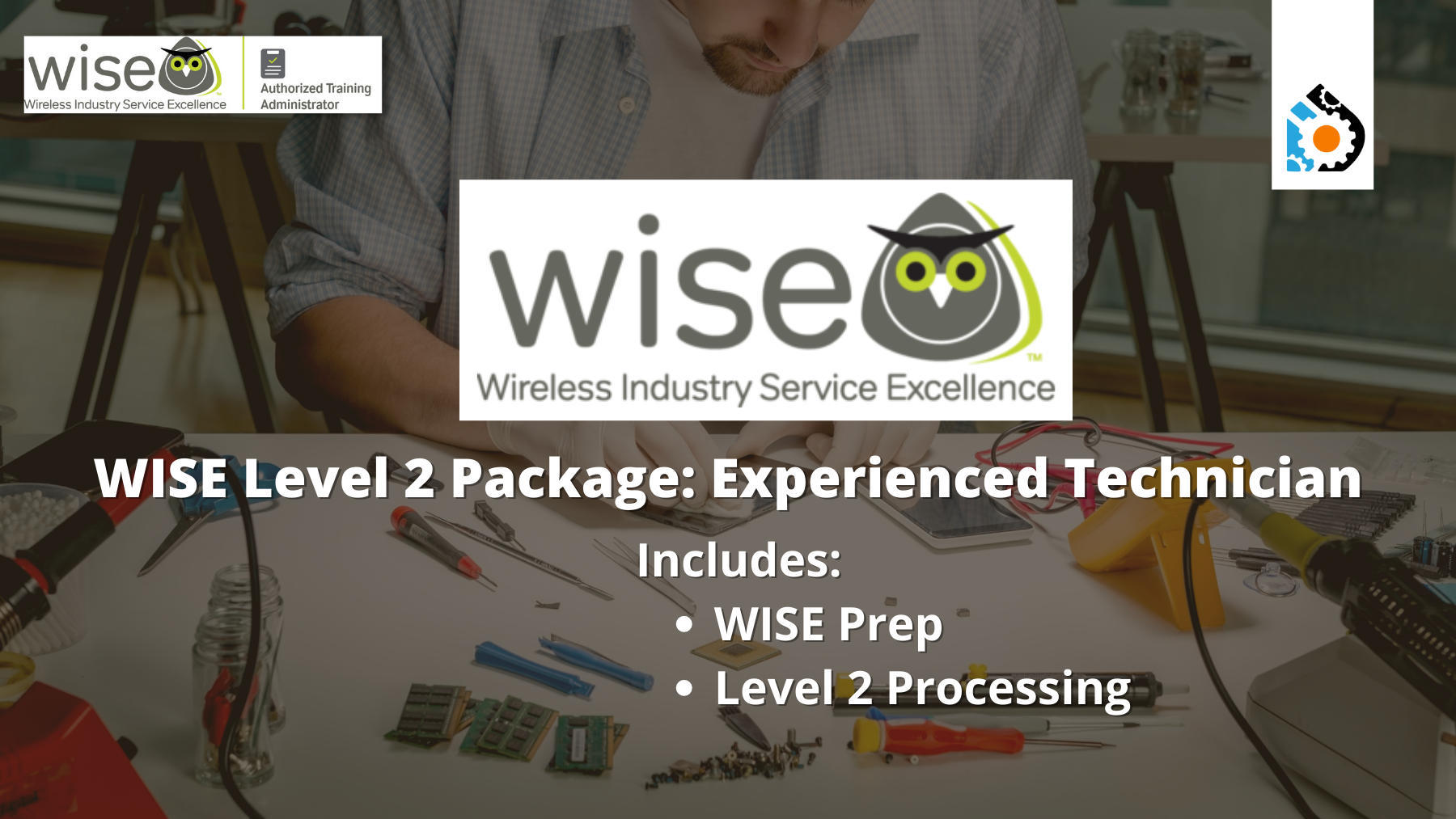 WISE Online Certification