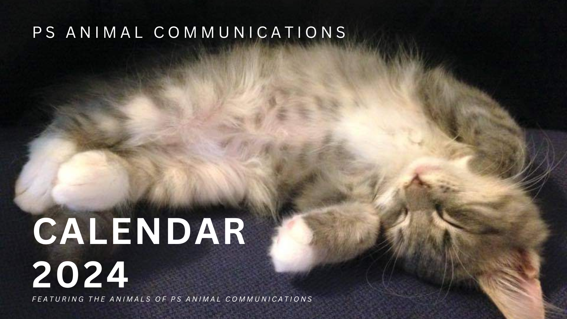 2024 Animal Holiday Calendar