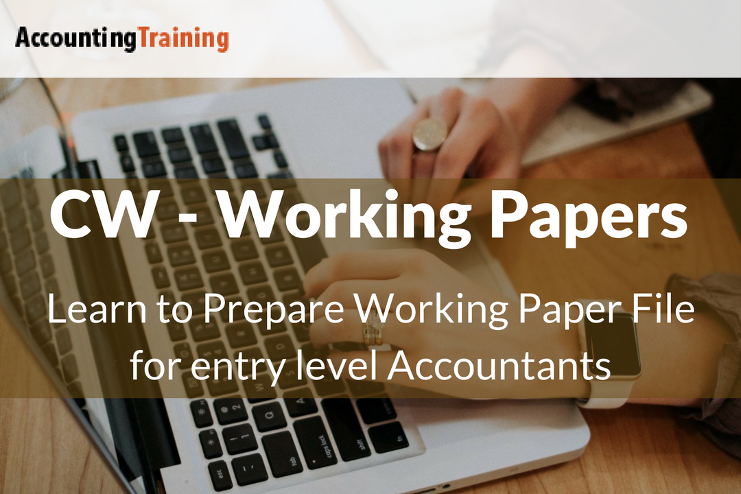 CaseWare Working Paper Software Training