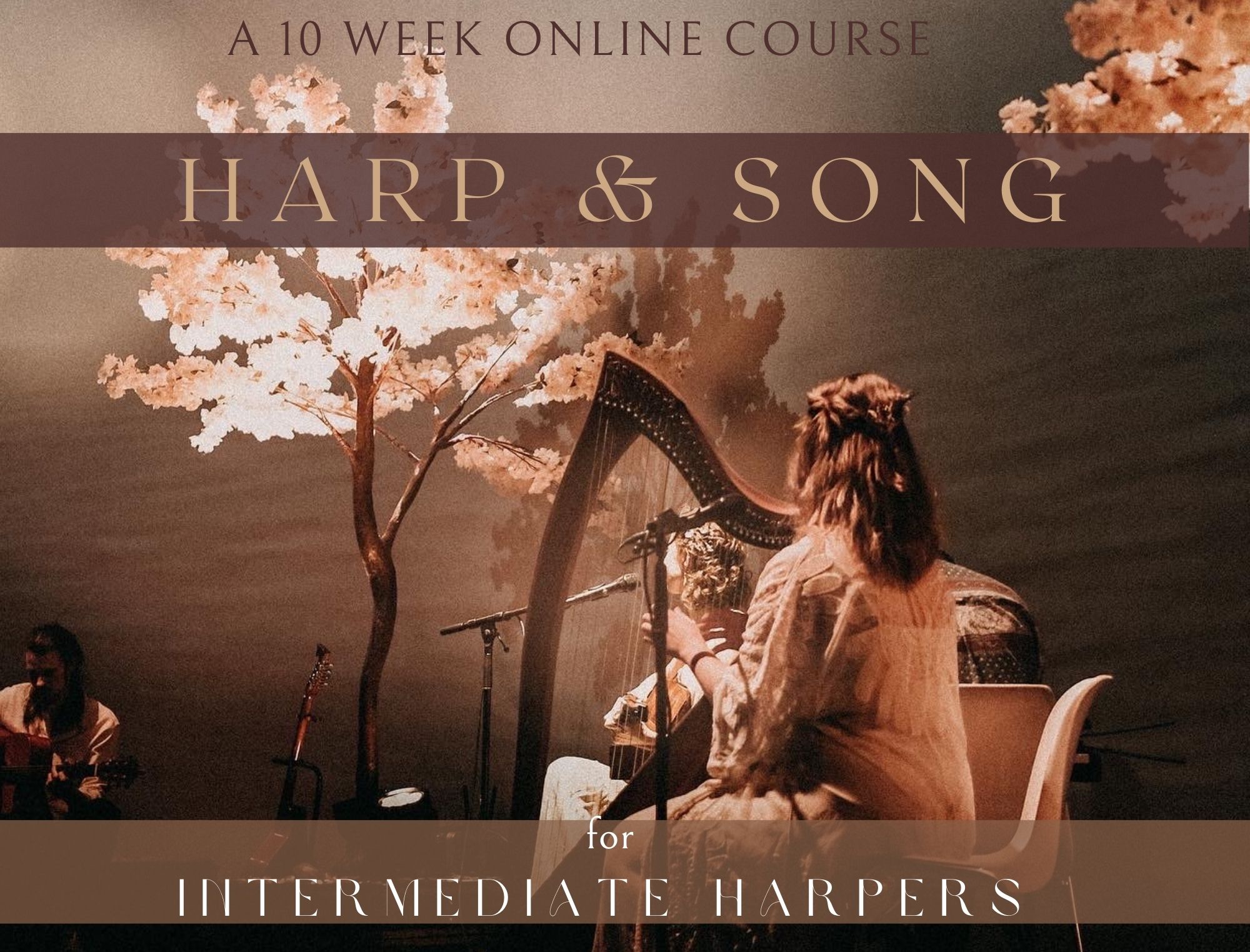 Harmony harp deals