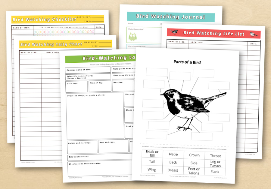 Birding Journal Hobby Gift Printable Bird Notebook Hobbies for