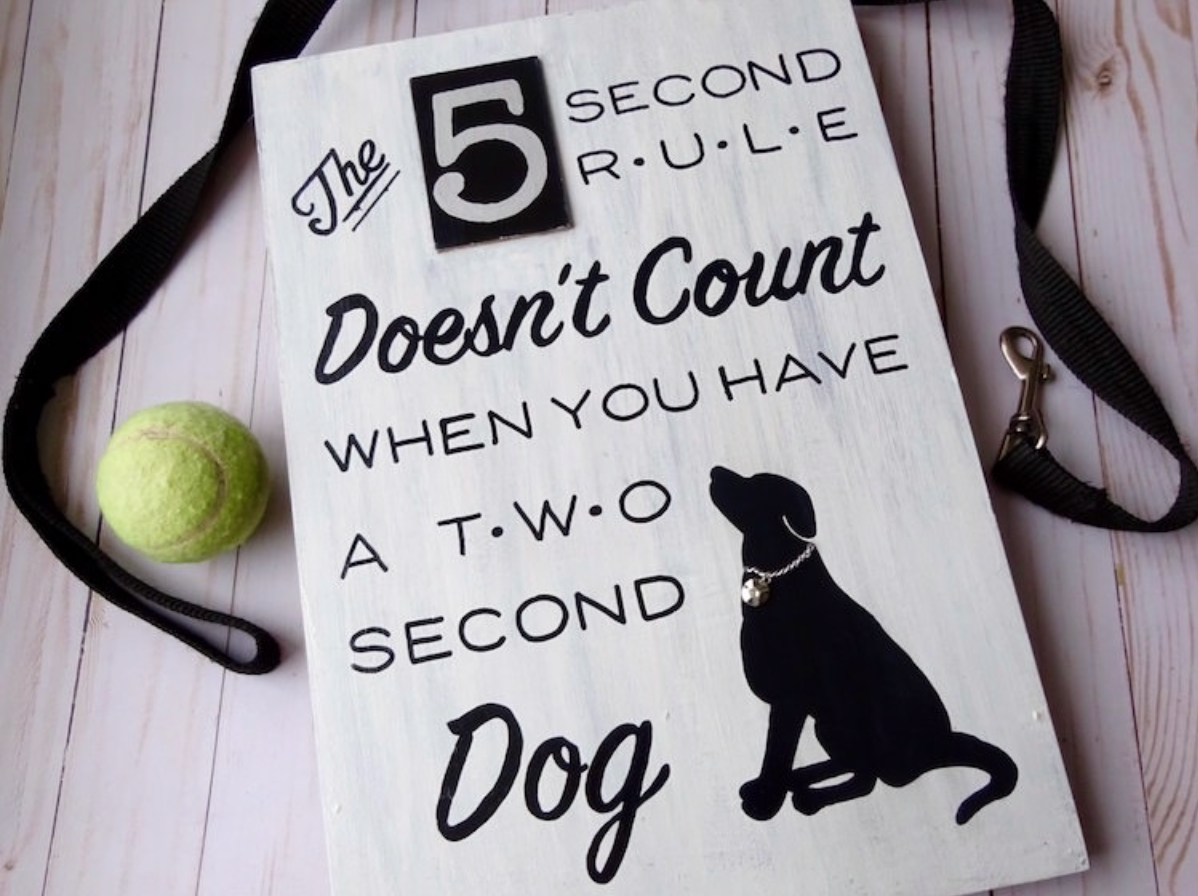 Two Second Dog Sign