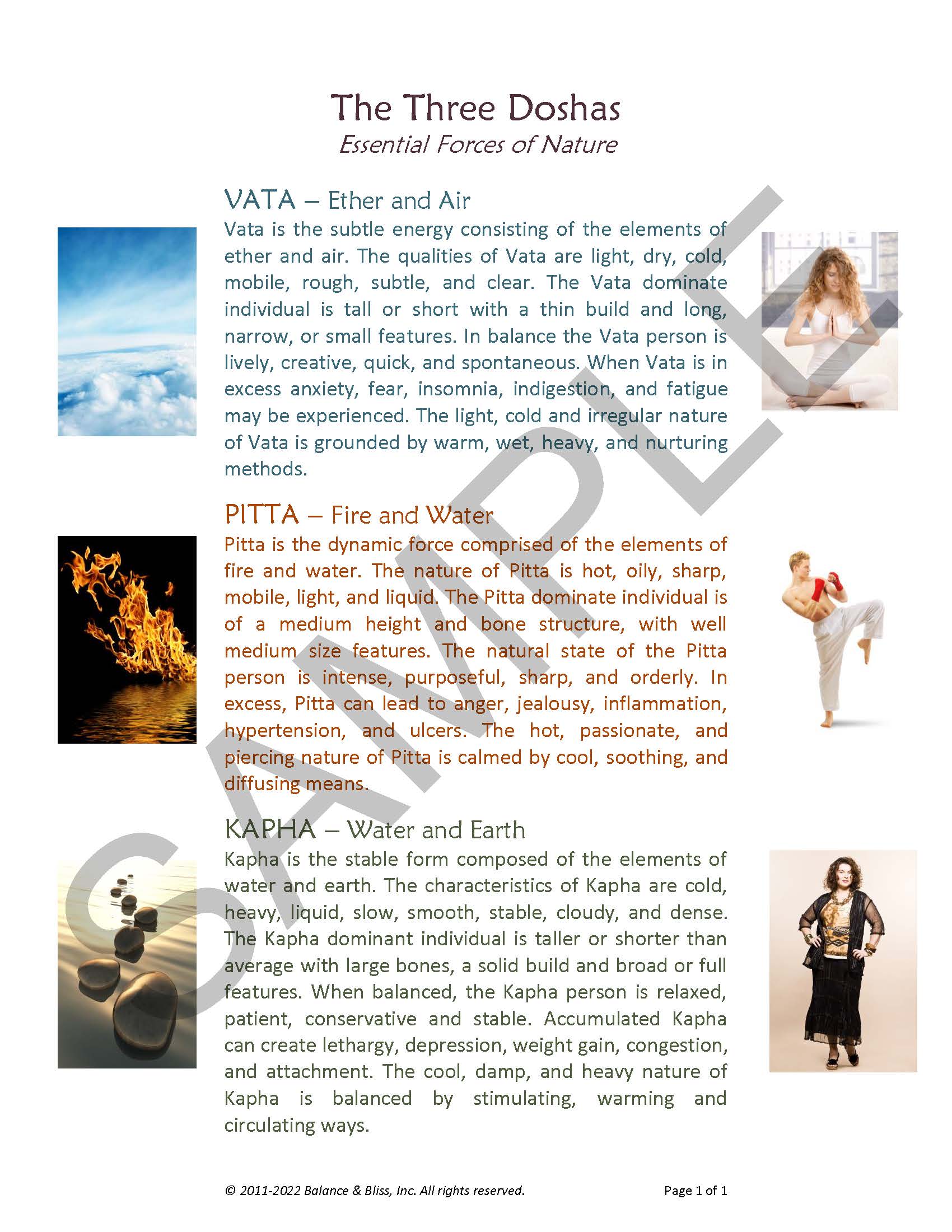 Florida Academy of Ayurveda