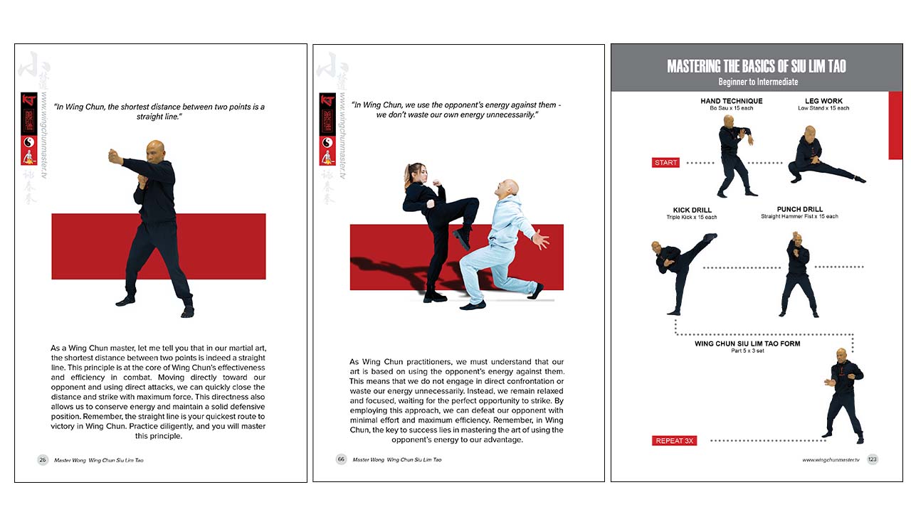 Siu Lim Tao Form – Live Erklärung – Ausschnitte – Wing Chun Online Lernen