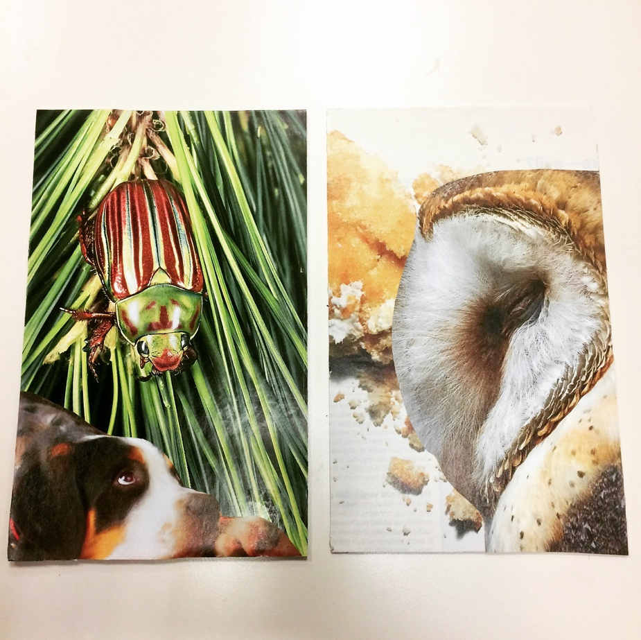 Mindful Creative Muse