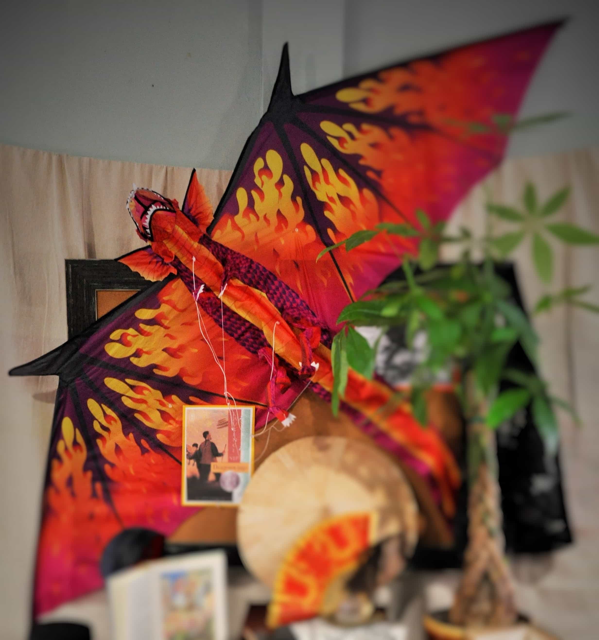 Creative teaching ideas for DRAGONWINGS
