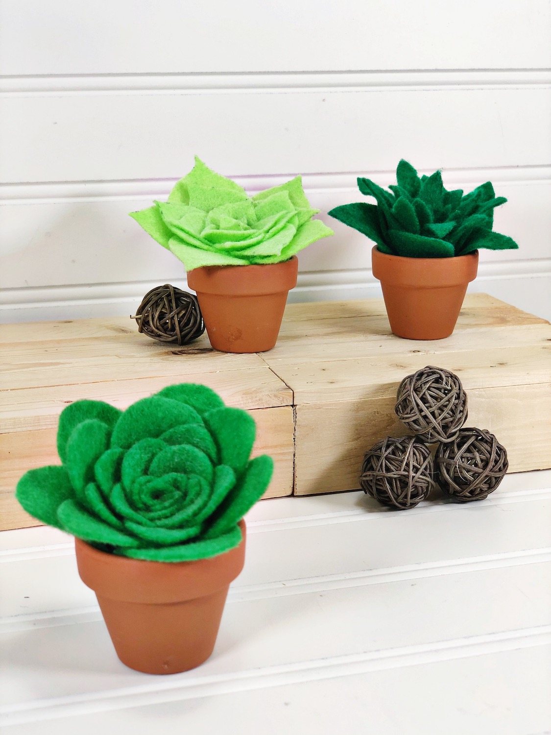 Felt Succulents Pattern