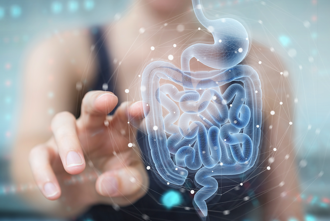 Sistema Inmunitario y Microbiota Intestinal. Abordaje desde la PNIc 1ª  EDICIÓN | ONLINE A TU RITMO
