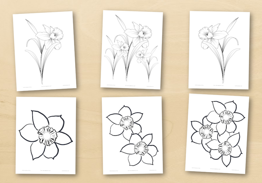 Printable Daffodil Flower Coloring Pages and Art Templates