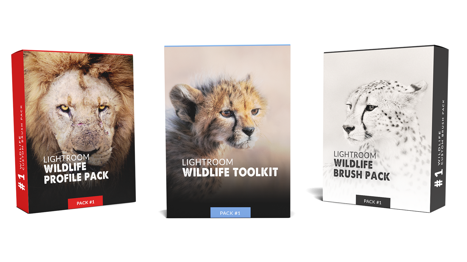 Canon R5 Camera Matching Profiles