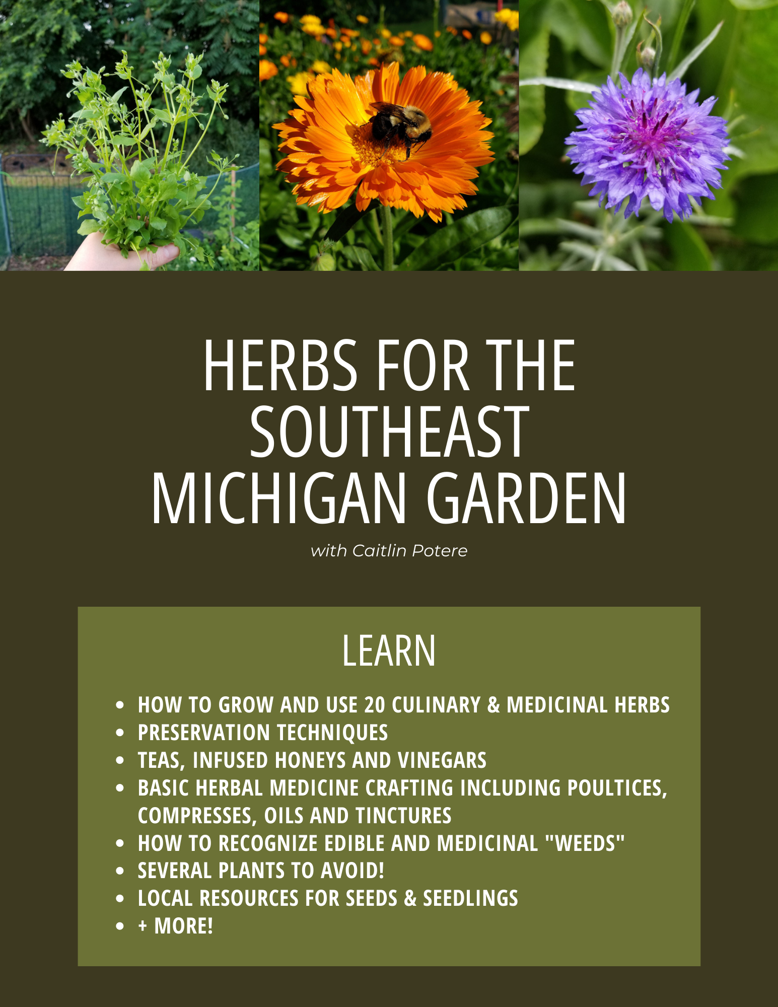 Herbs for the Southeast Michigan Garden