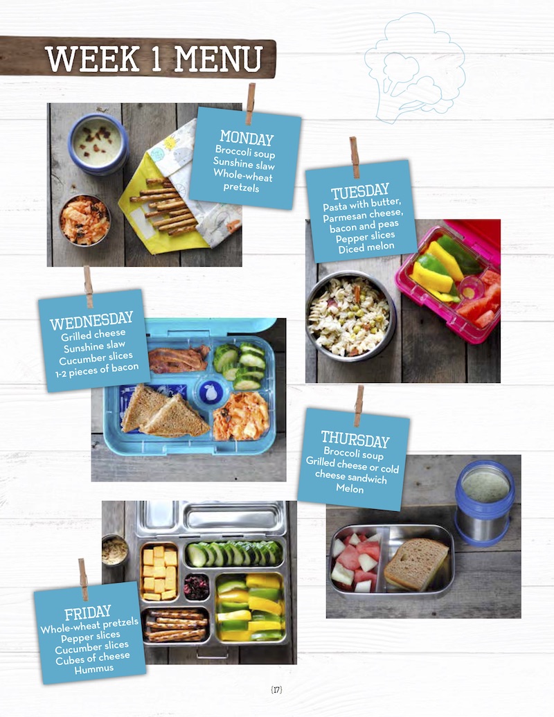100-days-of-real-food