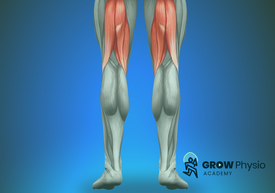 Hamstring Injuries Practical Course