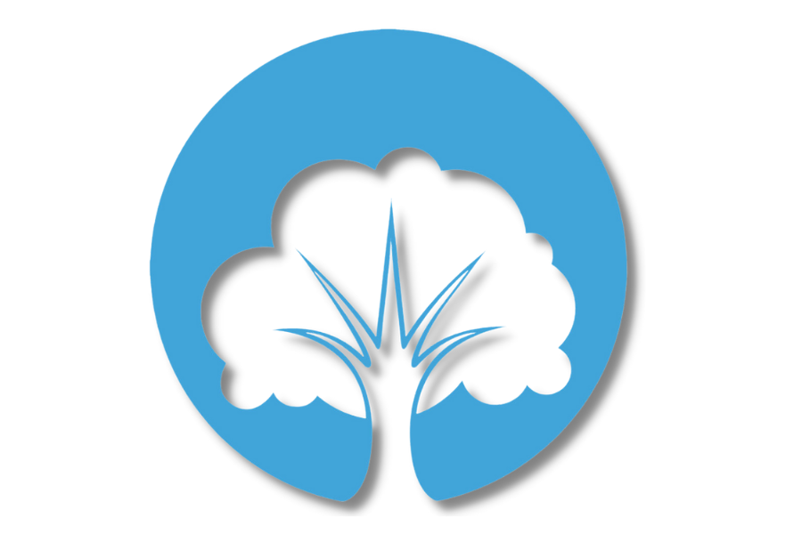 Cfa Advance Level 1 2023