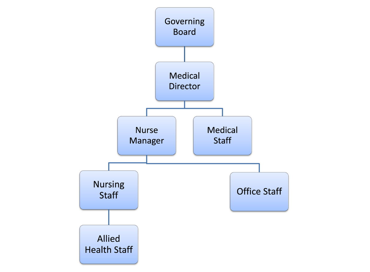 nursing org chart