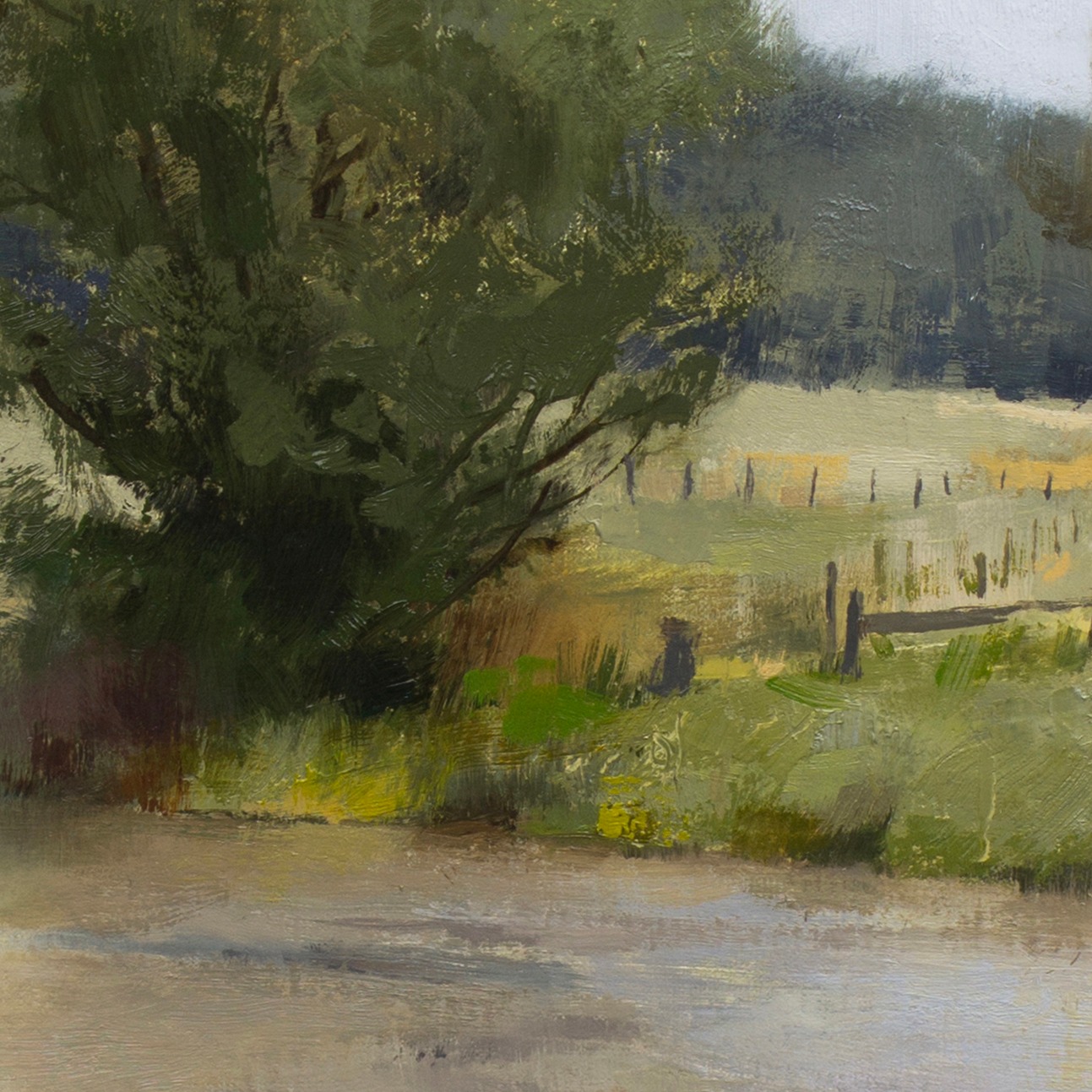 Master The Subtleties of Overcast Light