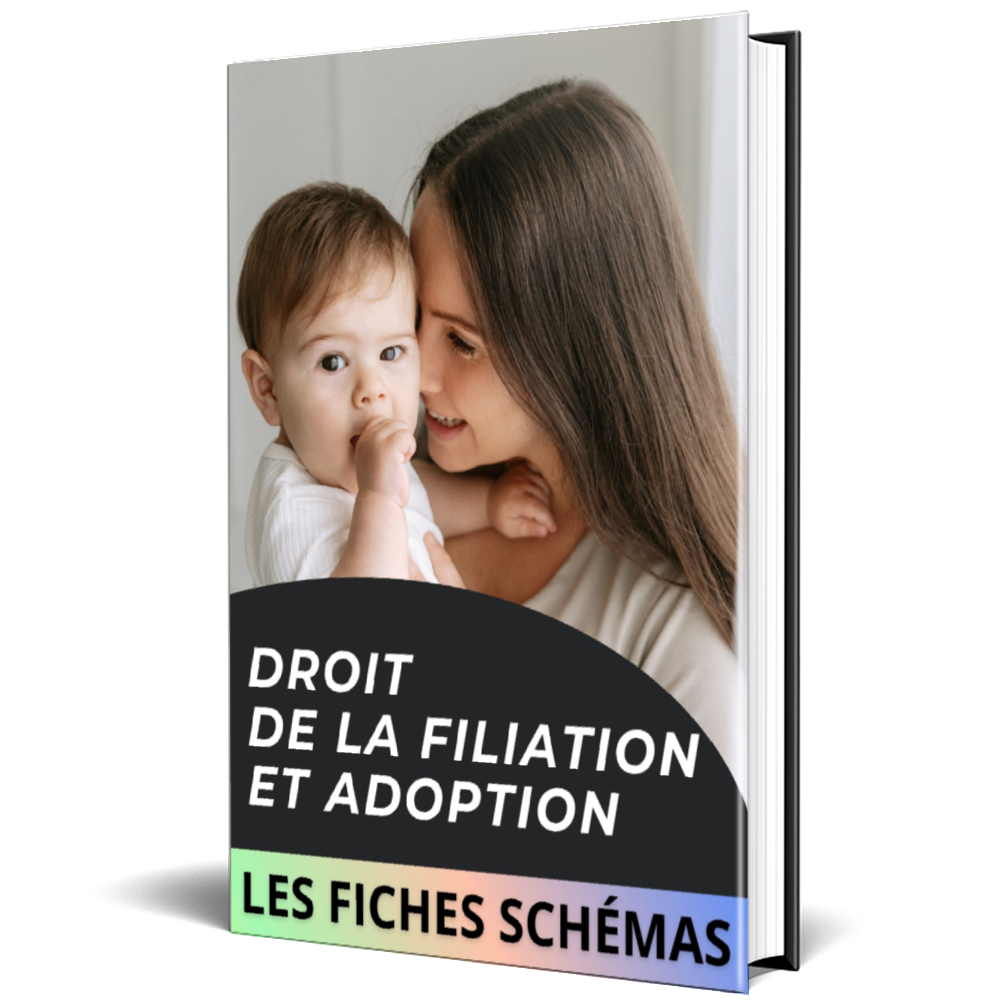 Les fiches schémas FILIATION ET ADOPTION (réforme 2022)