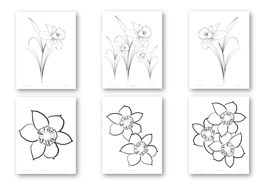 Printables Daffodil Flower Template