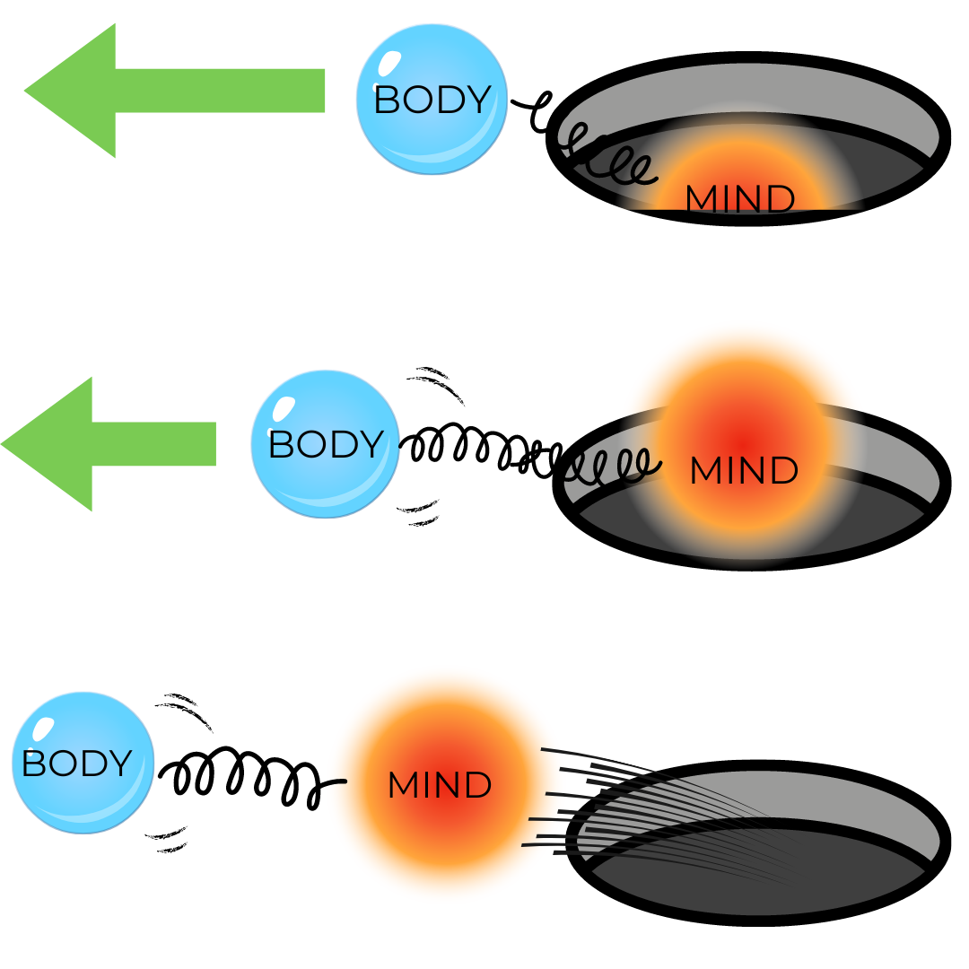 The Two-Week Commitment to Get Your Life Back on Track