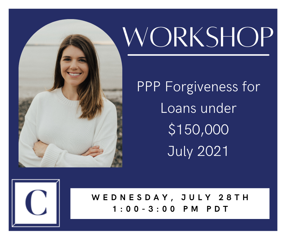 PPP Loans under 150k